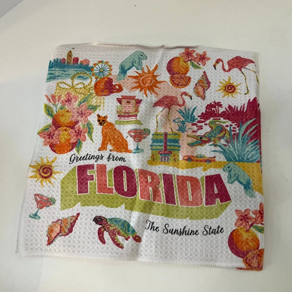 Geometry Dishcloth Pack Of 3 NIP‎ Greetings From Florida The Sunshine State 10